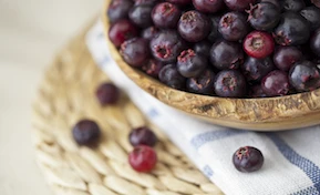Seminar: Functional Foods, Hypertension and Obesity