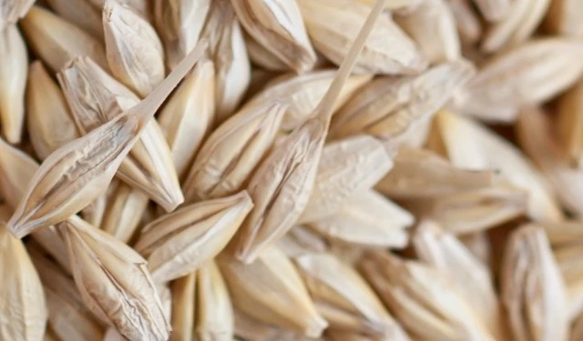 Manitoba Innovation With an Asian Flavour Twist