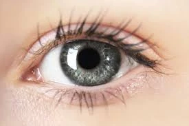 Nutrition Strategies to Protect Age-Related Vision Deterioration